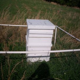 Honey Harvest Image